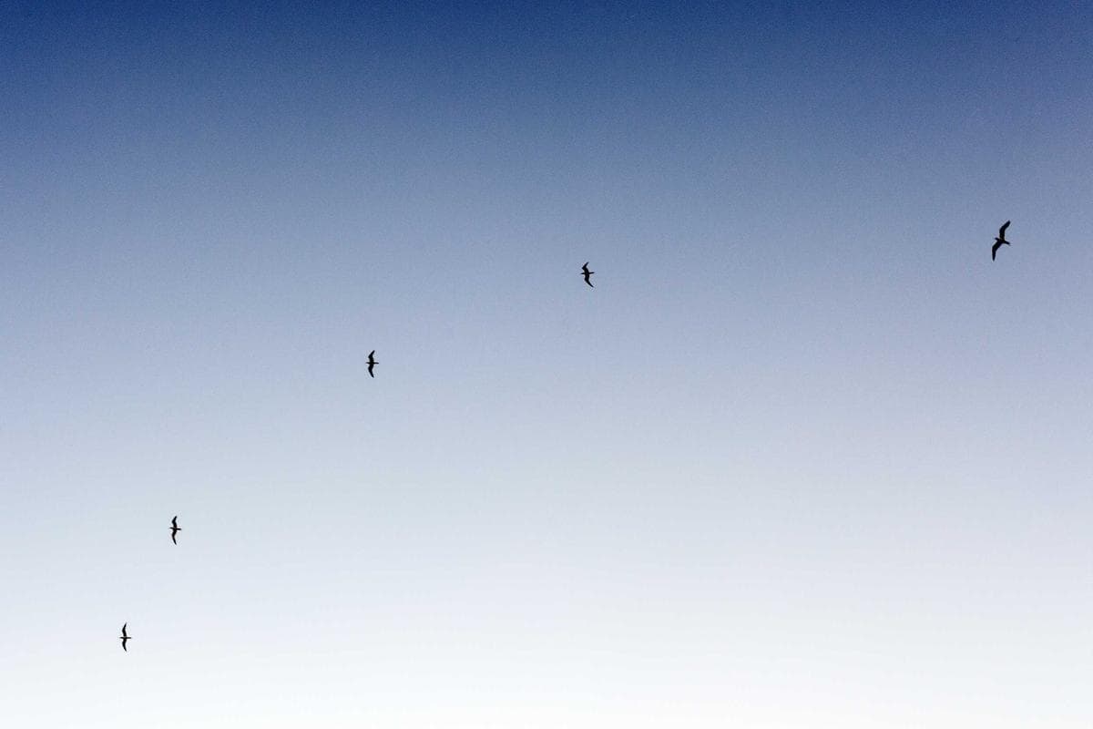 Small Business IT Support